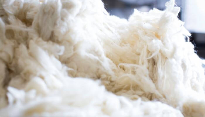 La lana orgánica es un tejido ecológico 